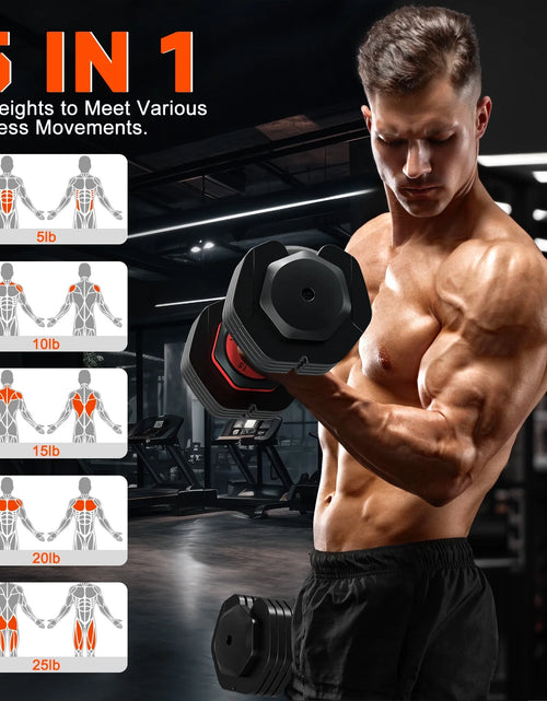 Load image into Gallery viewer, 50Lb(25Lb*2) 5 in 1 Adjustable Dumbbells 25LB Set of 2 Adjustable Free Weights Plates and Rack - Hand Weights for Women and Men - Adjust Weight for Home Gym Full Body Workout Fitness