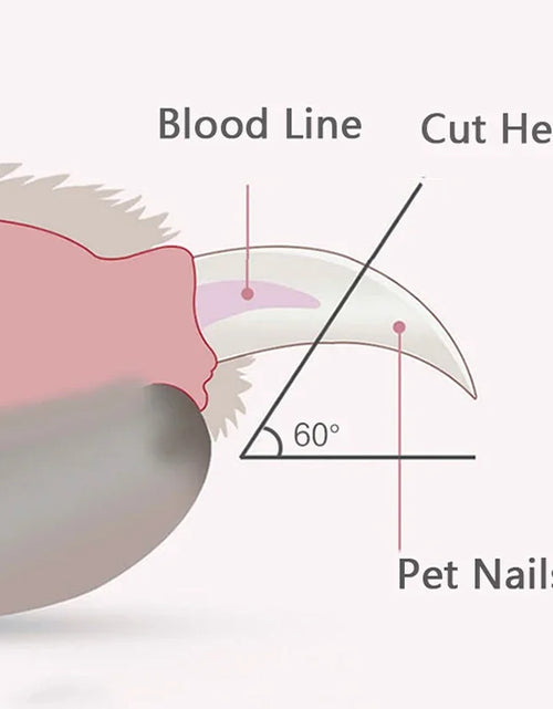 Load image into Gallery viewer, Professional Pet Nail Clippers with Led Light Pet Claw Grooming Scissors for Dogs Cats Small Animals Paw Nail Trimmer Pet Supply