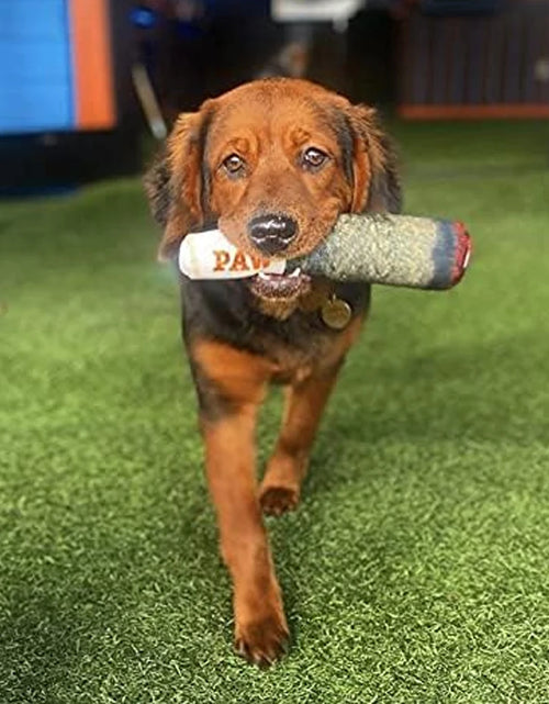 Load image into Gallery viewer, Funny Interactive Dog Toys - Cigar Design Plush Squeaky Pet Toys Grinding Teeth Creative Chew Toy for Small Medium Dog