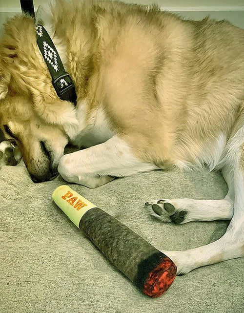 Load image into Gallery viewer, Funny Interactive Dog Toys - Cigar Design Plush Squeaky Pet Toys Grinding Teeth Creative Chew Toy for Small Medium Dog